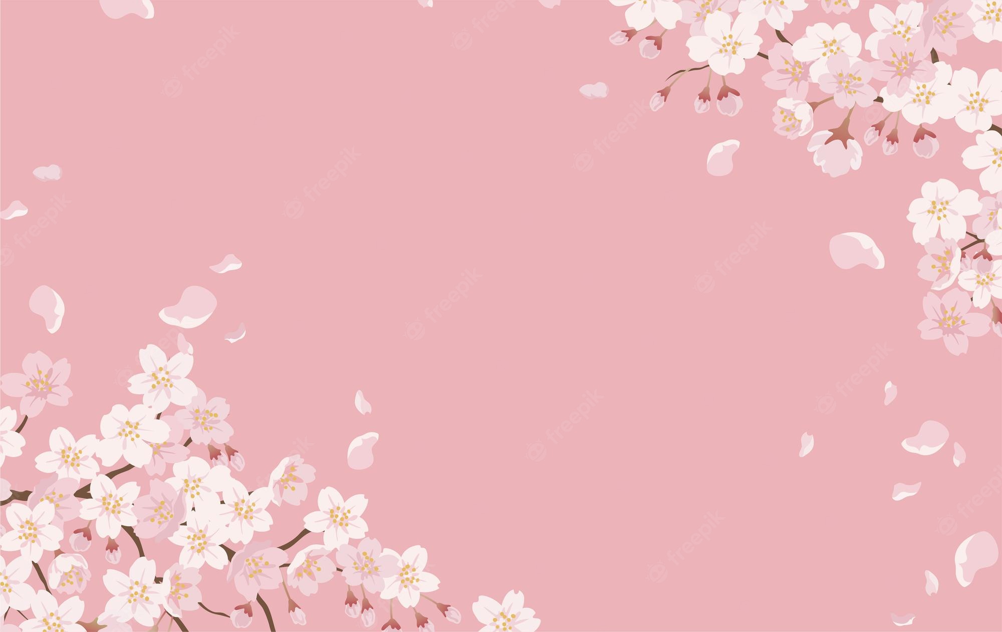 Cherry Blossom Painting Wallpapers