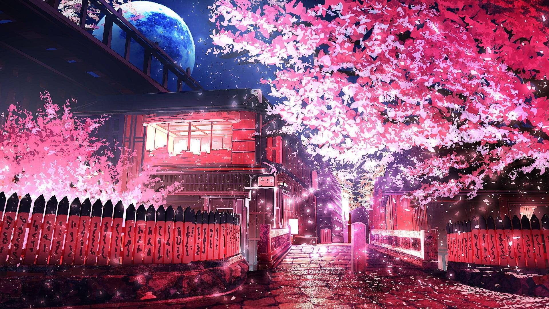 Cherry Blossom Tree Anime Wallpapers