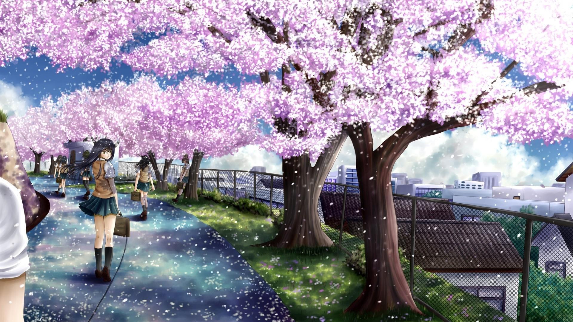 Cherry Blossom Tree Anime Wallpapers