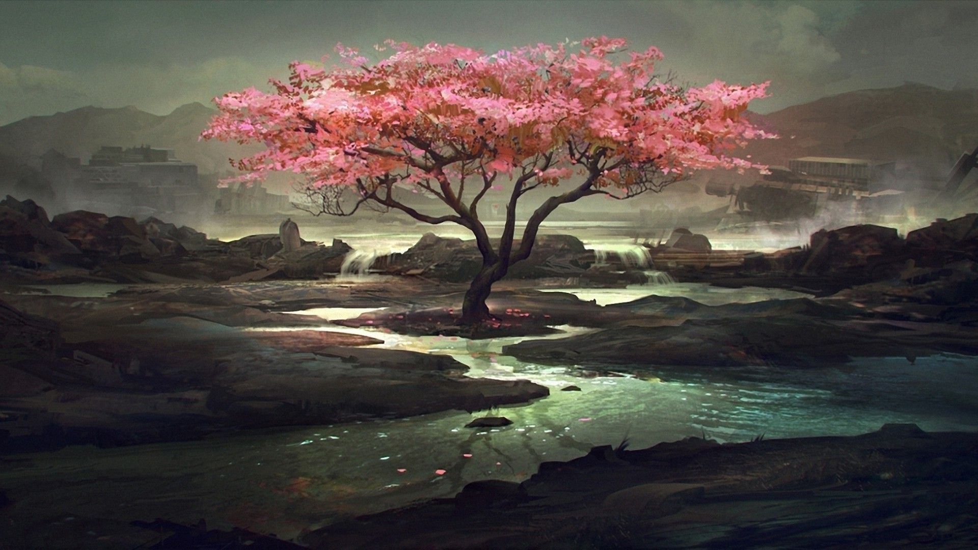 Cherry Blossom Tree Anime Wallpapers