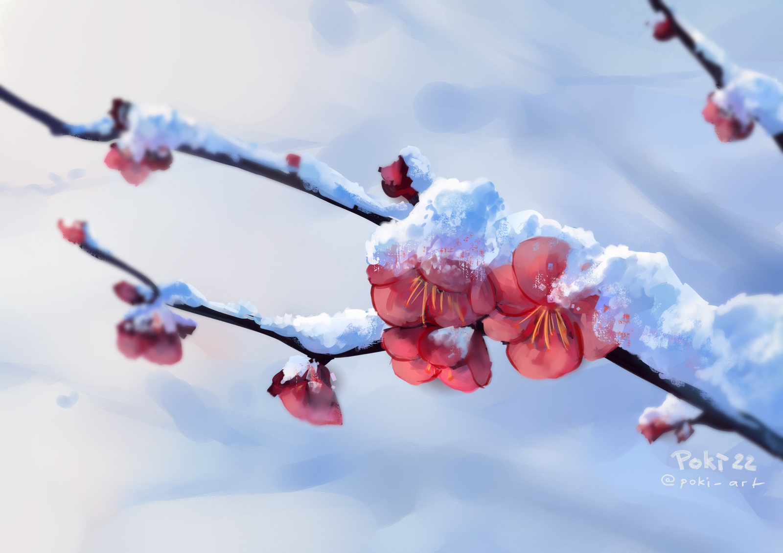 Cherry Blossom Tree With Snow Wallpapers