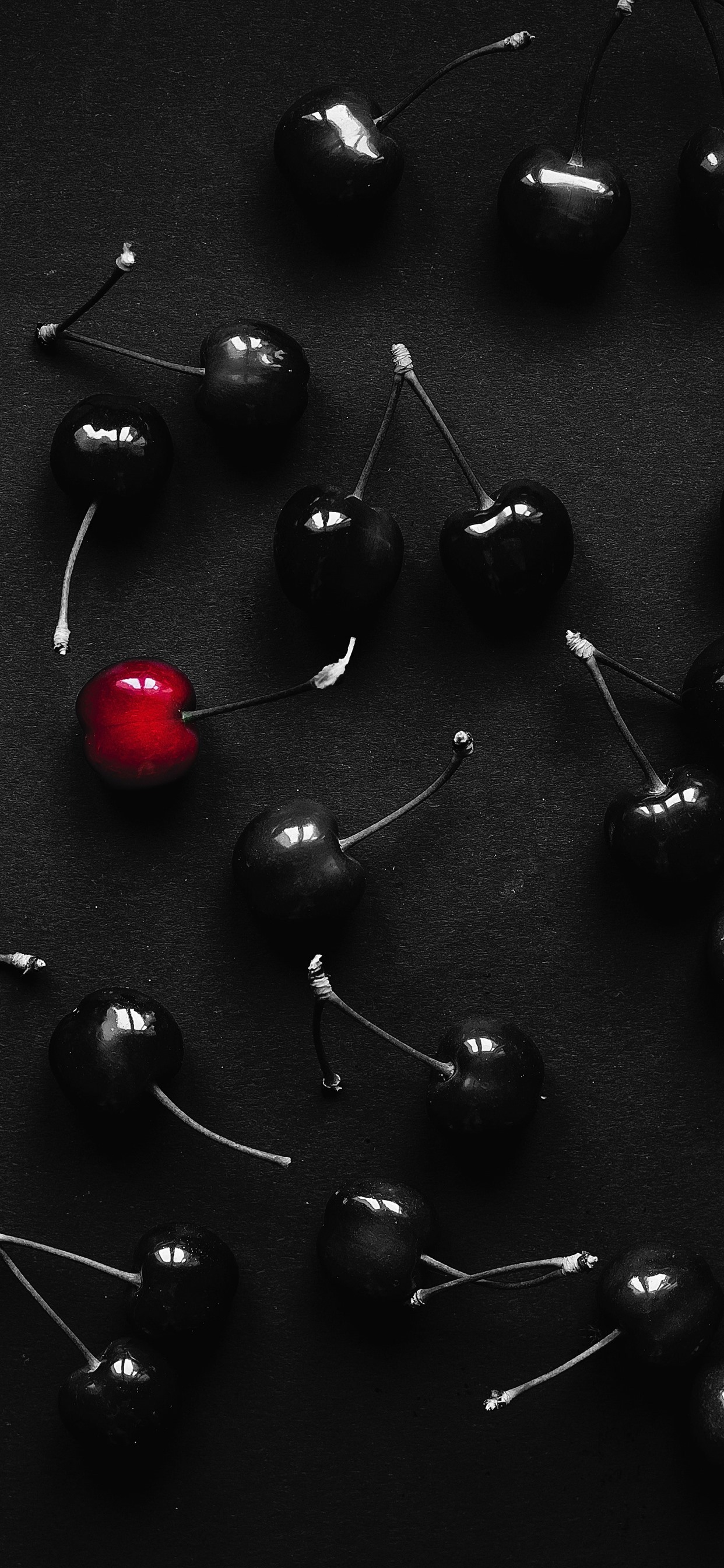 Cherry Iphone Wallpapers