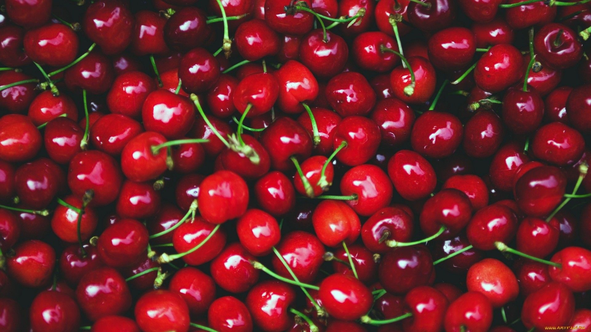 Cherry Iphone Wallpapers