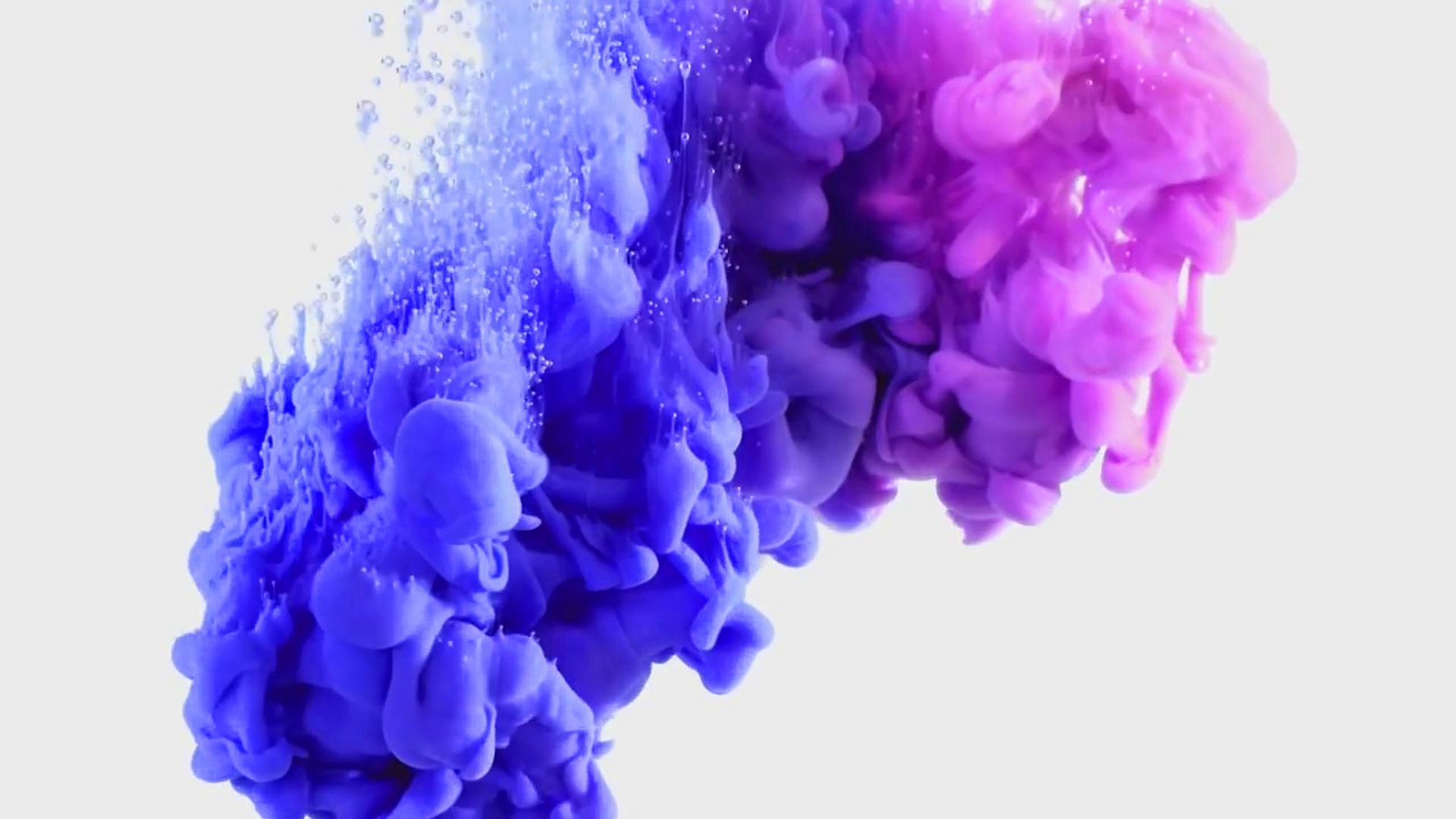 Color Explosion Wallpapers