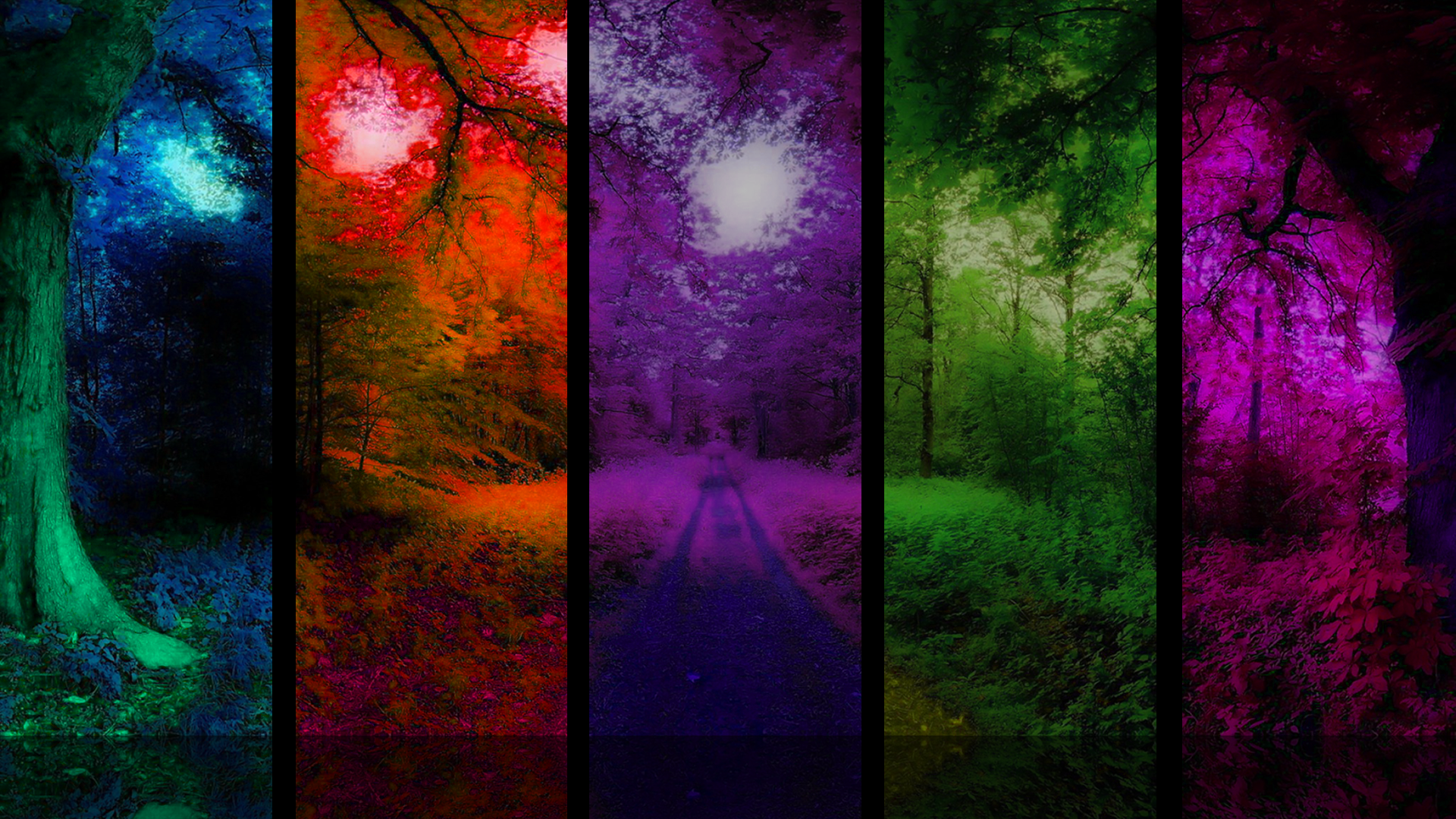 Color Forest Wallpapers