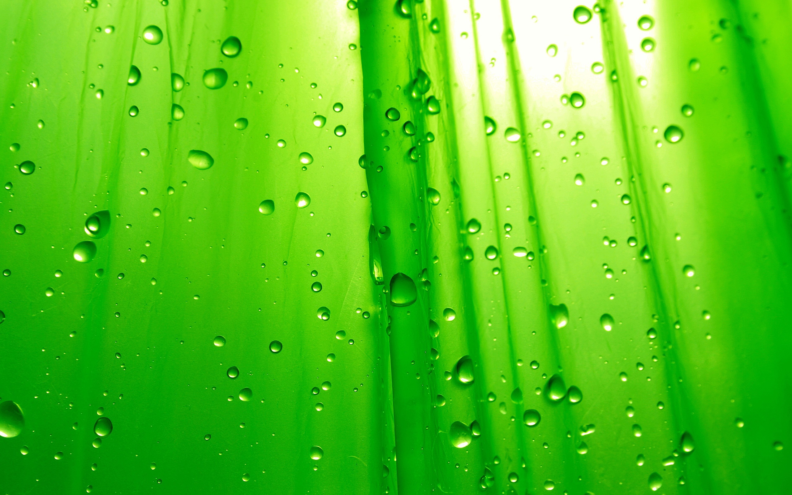 Color Green Wallpapers