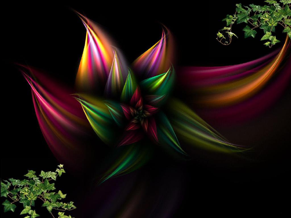 Colorful Abstract Flower Wallpapers