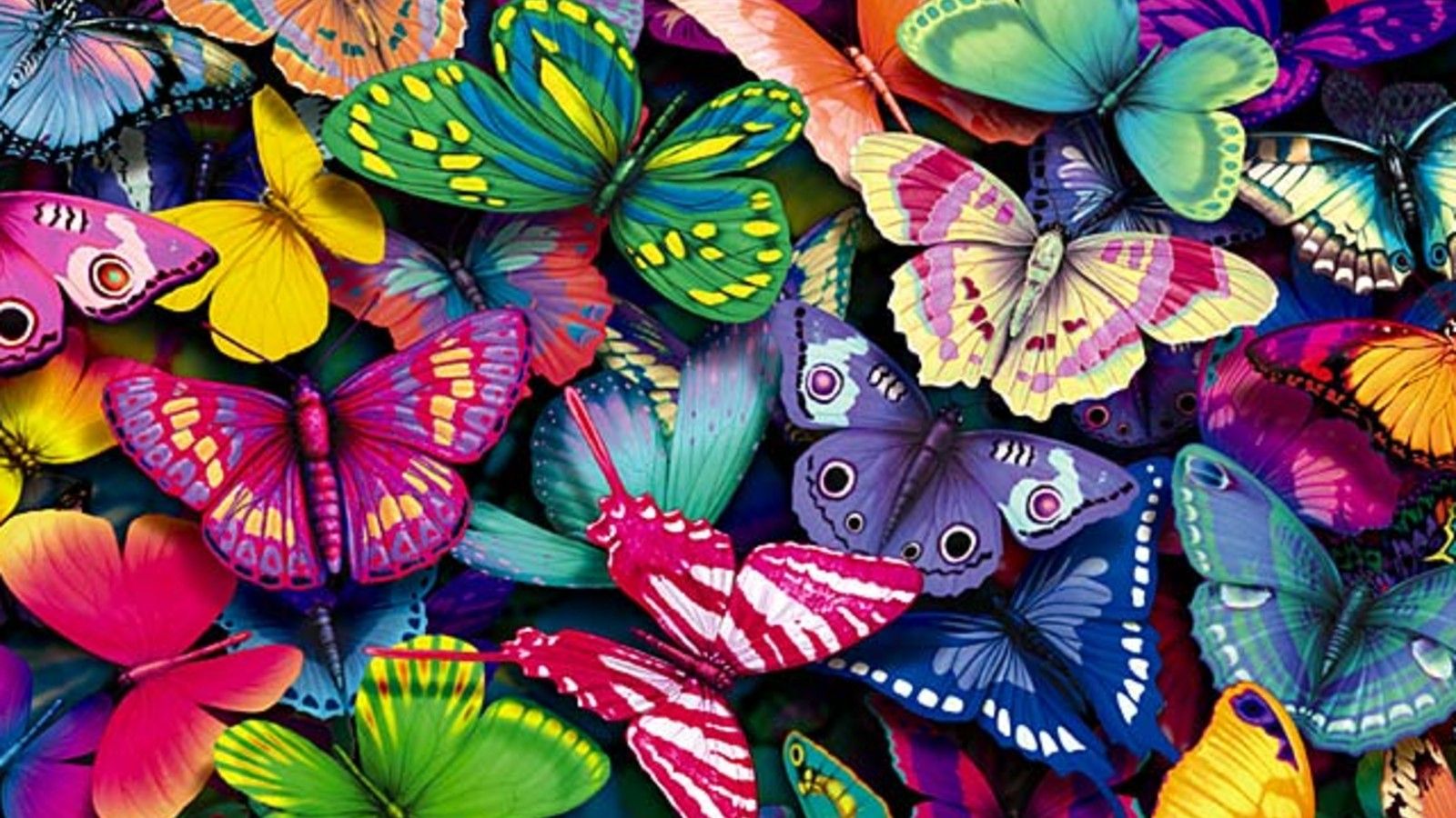 Colorful Butterfly Wallpapers