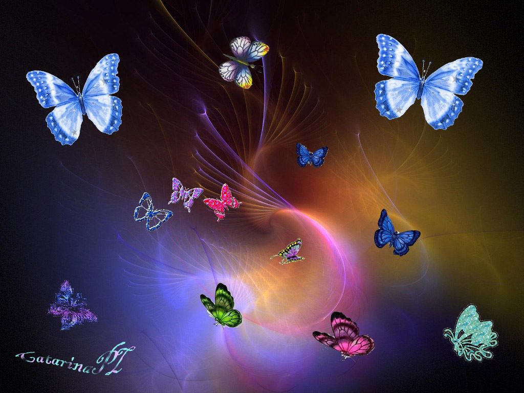 Colorful Butterfly Wallpapers