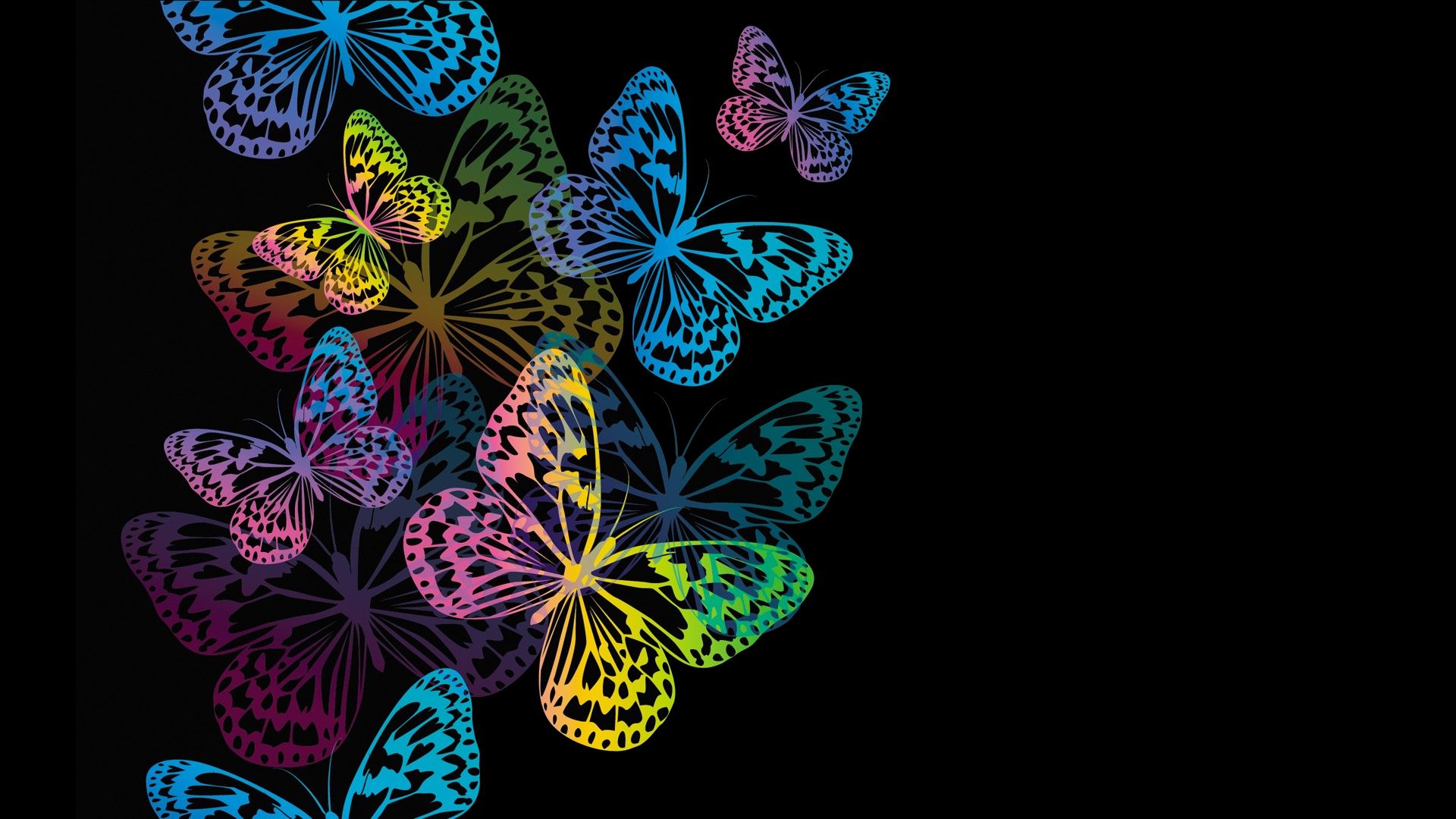 Colorful Butterfly Wallpapers