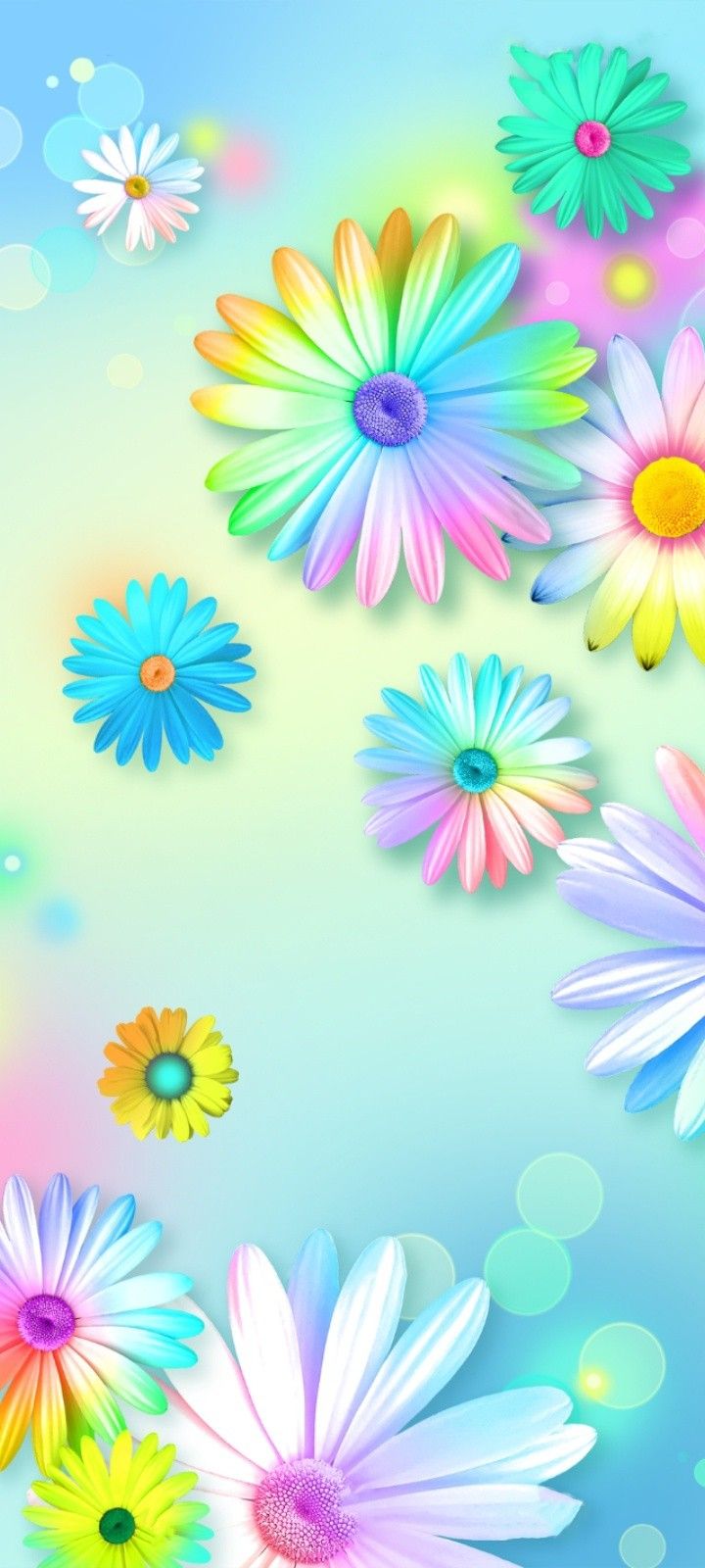 Colorful Daisies Wallpapers