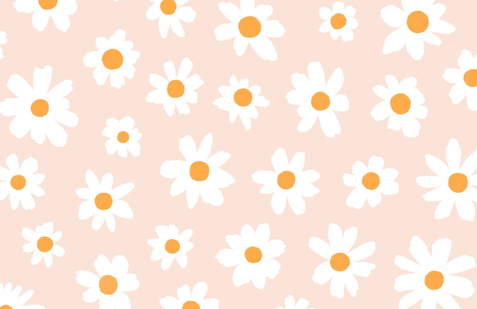 Colorful Daisies Wallpapers