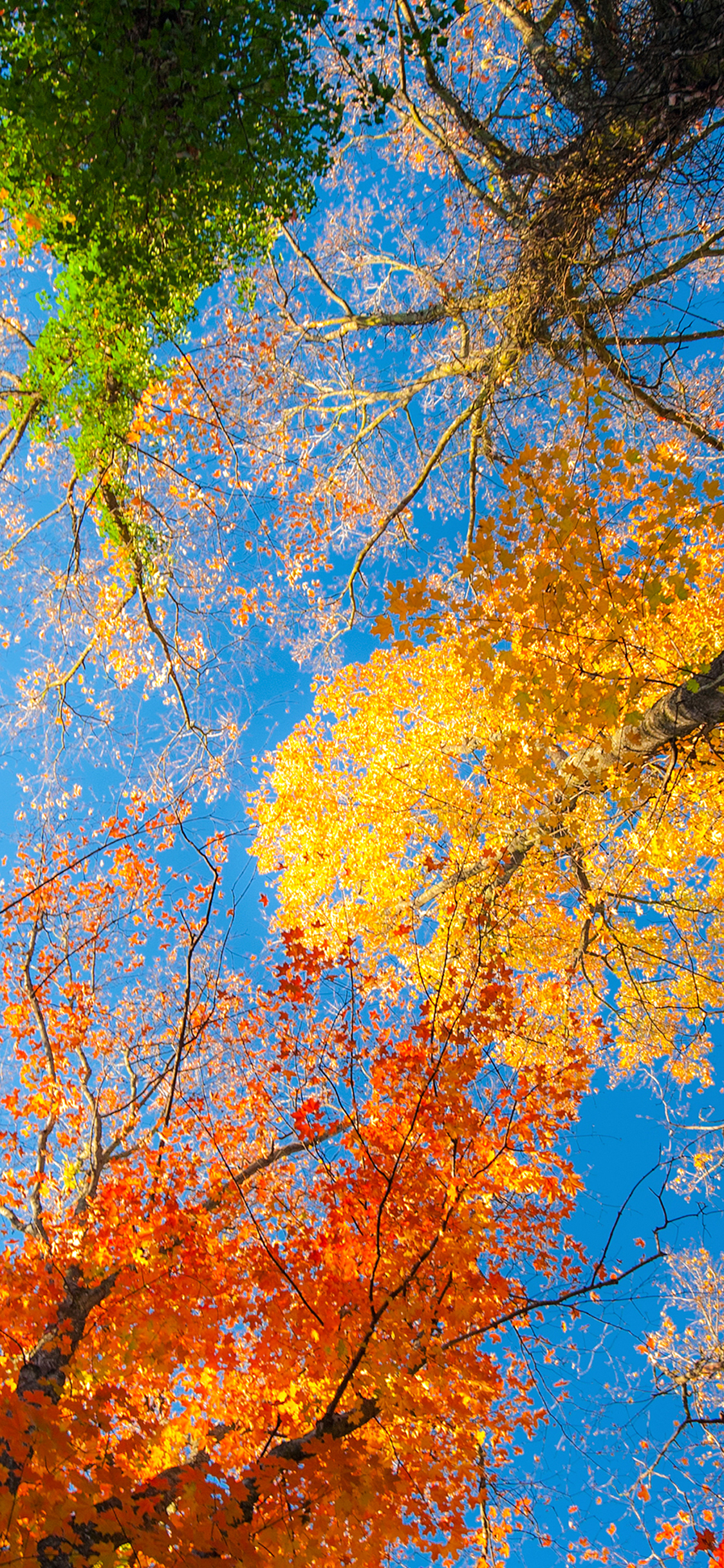 Colorful Fall Wallpapers