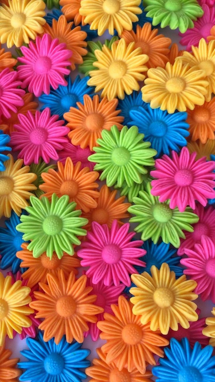 Colorful Flower Iphone Wallpapers