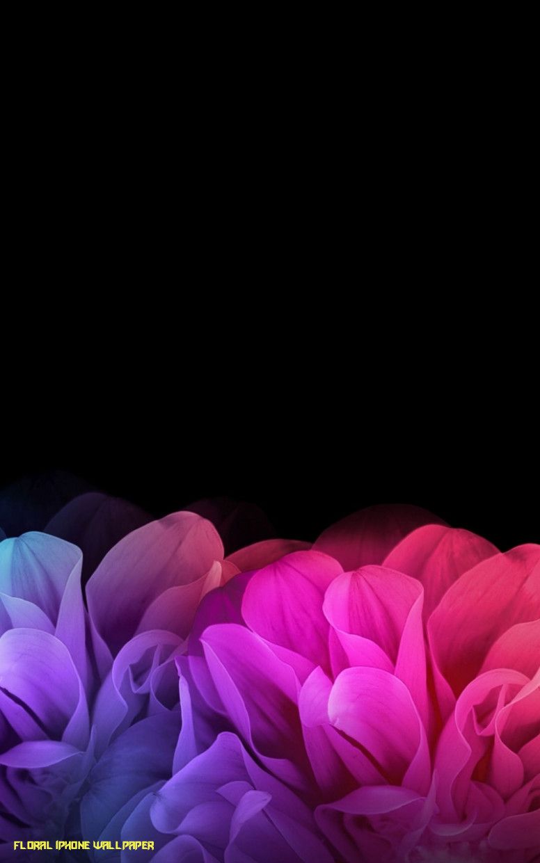 Colorful Flower Iphone Wallpapers