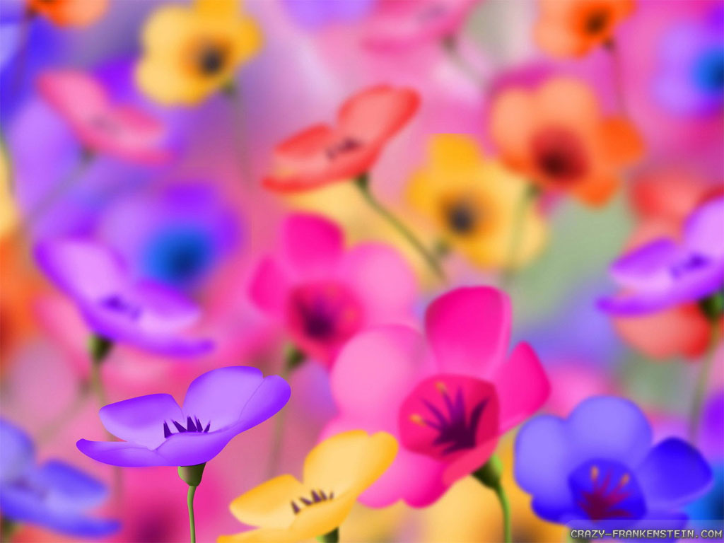 Colorful Flowers Wallpapers