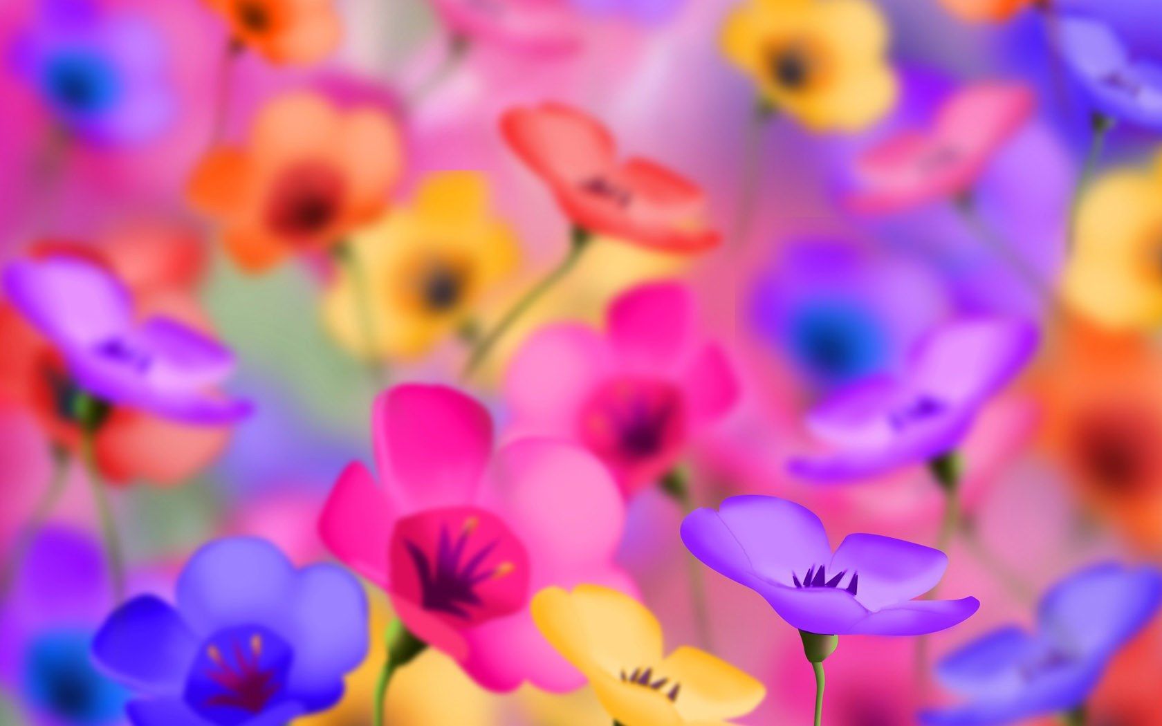 Colorful Flowers Wallpapers