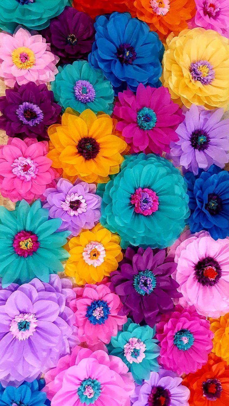 Colorful Flowers Wallpapers