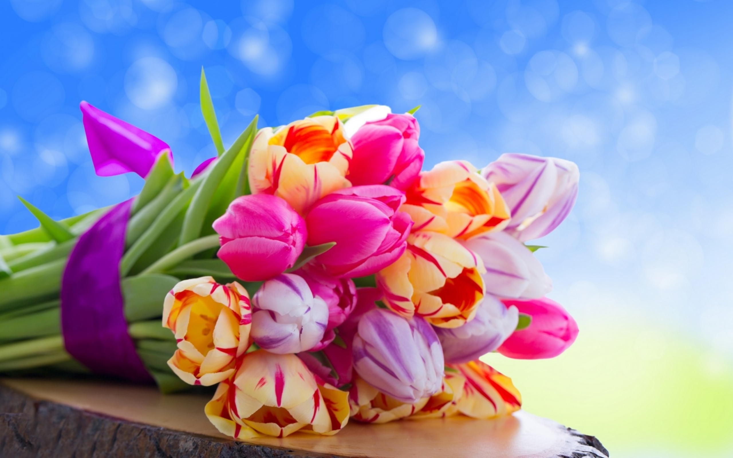 Colorful Flowers Wallpapers