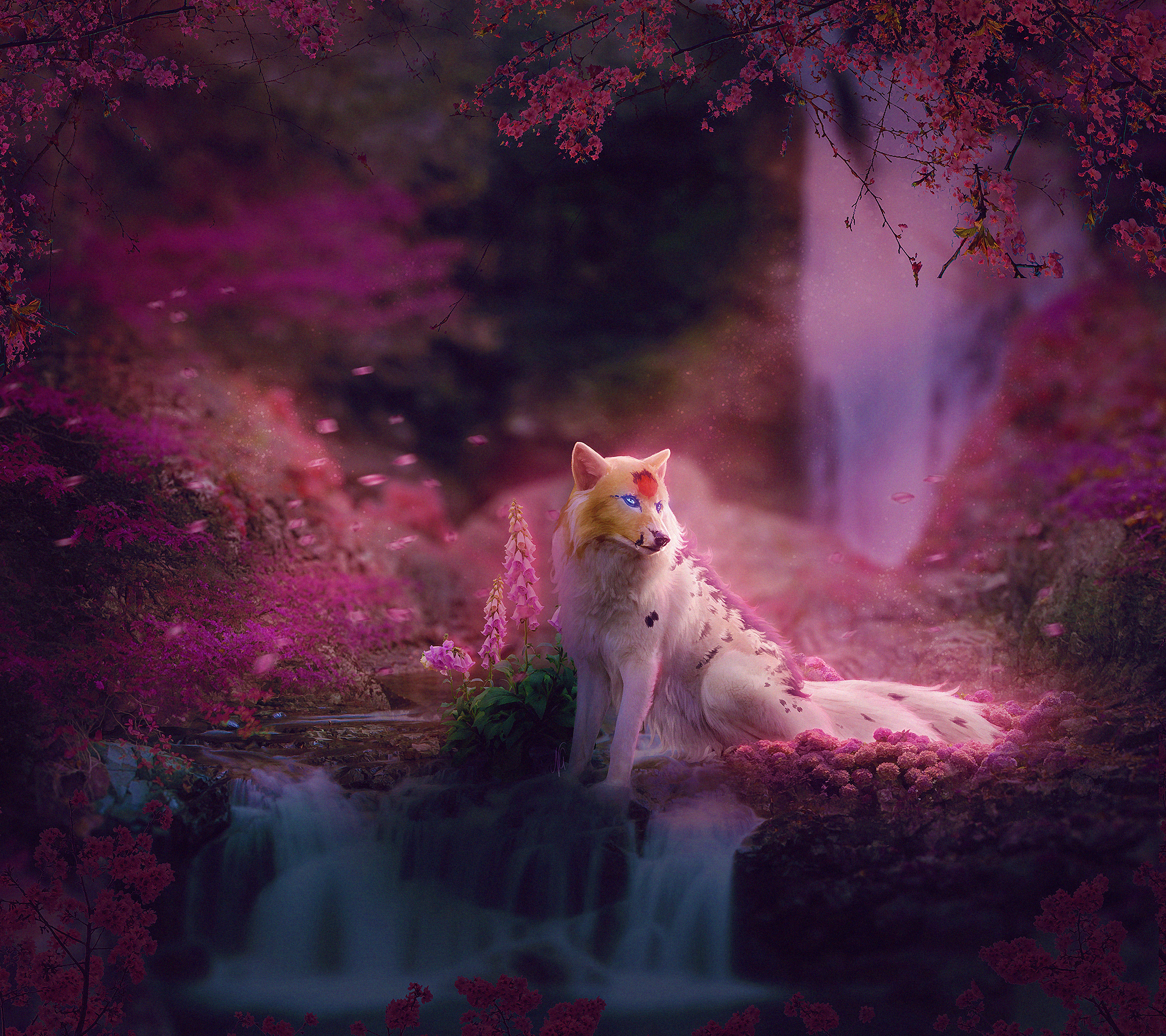 Colorful Fox Wallpapers