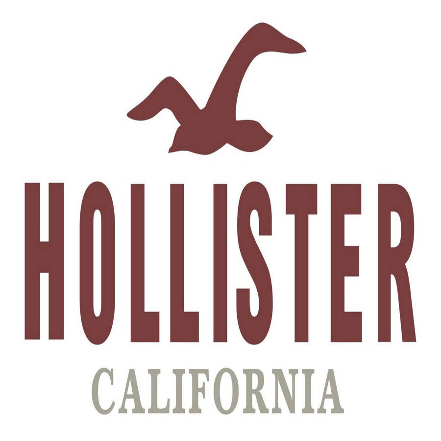 Colorful Hollister Wallpapers