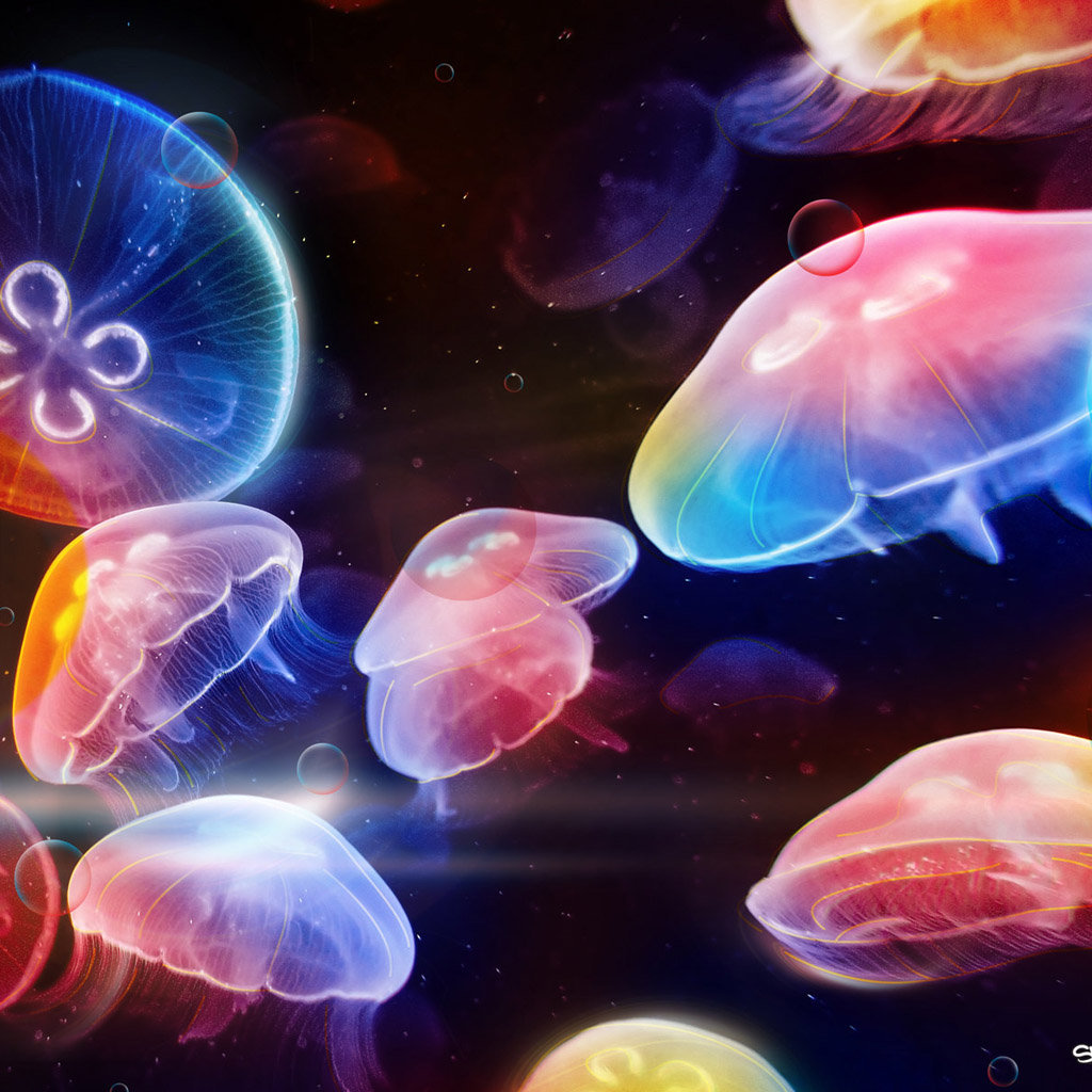 Colorful Jellyfish Wallpapers