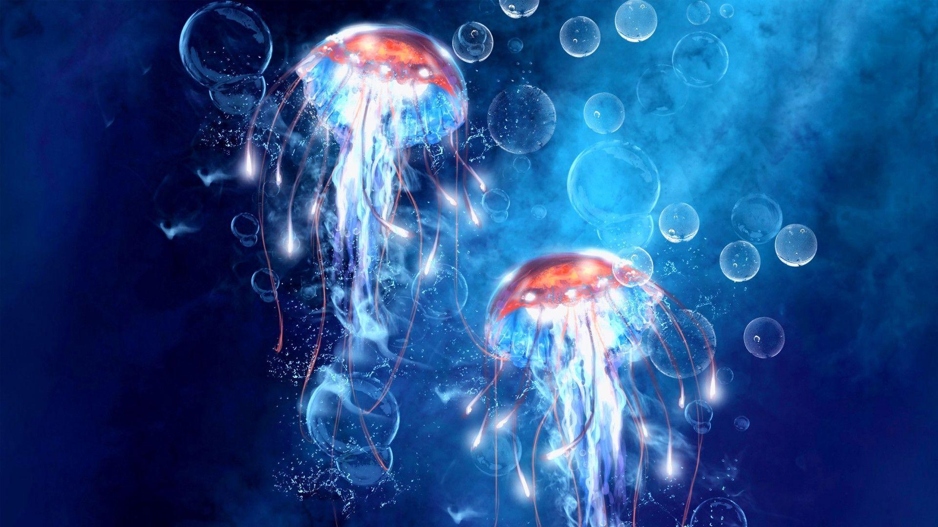 Colorful Jellyfish Wallpapers