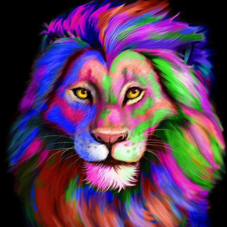 Colorful Lion Wallpapers