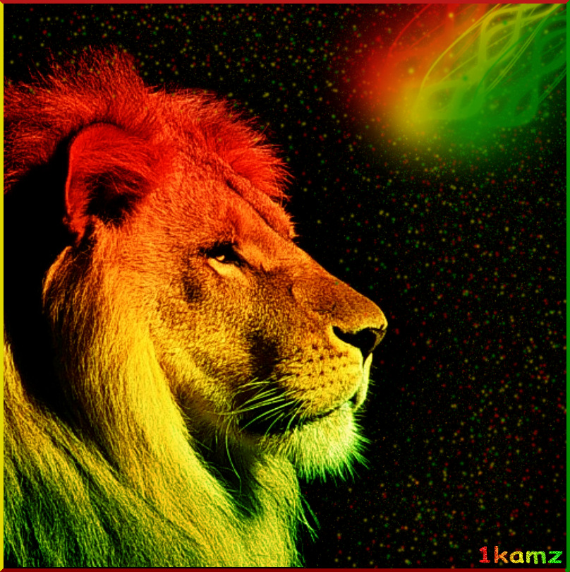 Colorful Lion Wallpapers