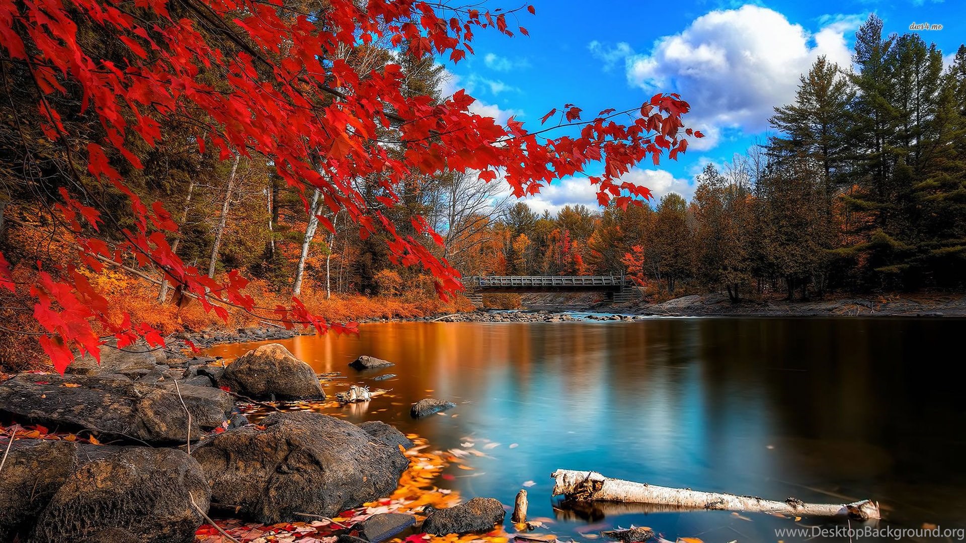 Colorful Nature Landscape Wallpapers