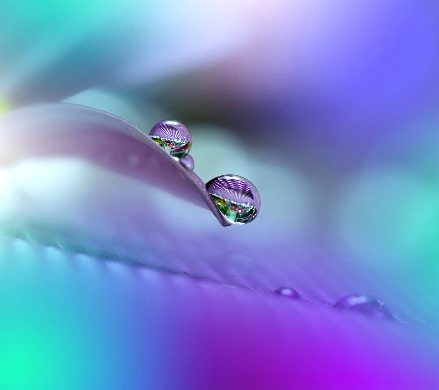 Colorful Raindrop Wallpapers