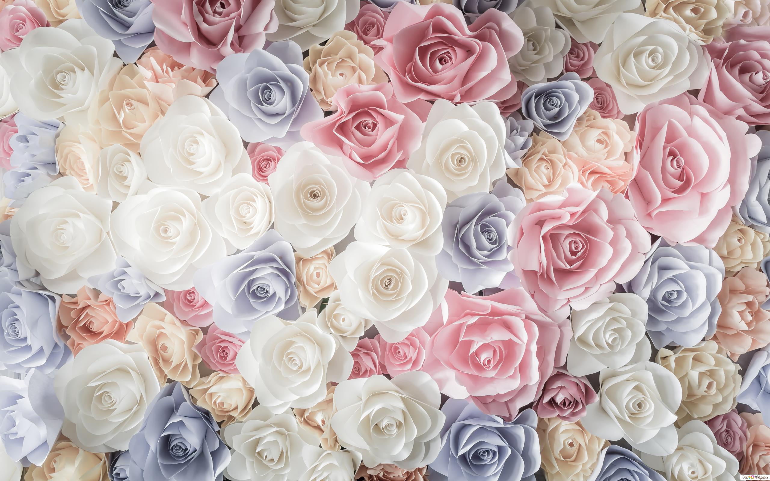 Colorful Roses Wallpapers