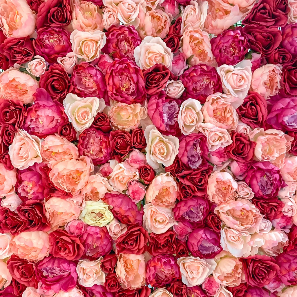 Colorful Roses Desktop Wallpapers