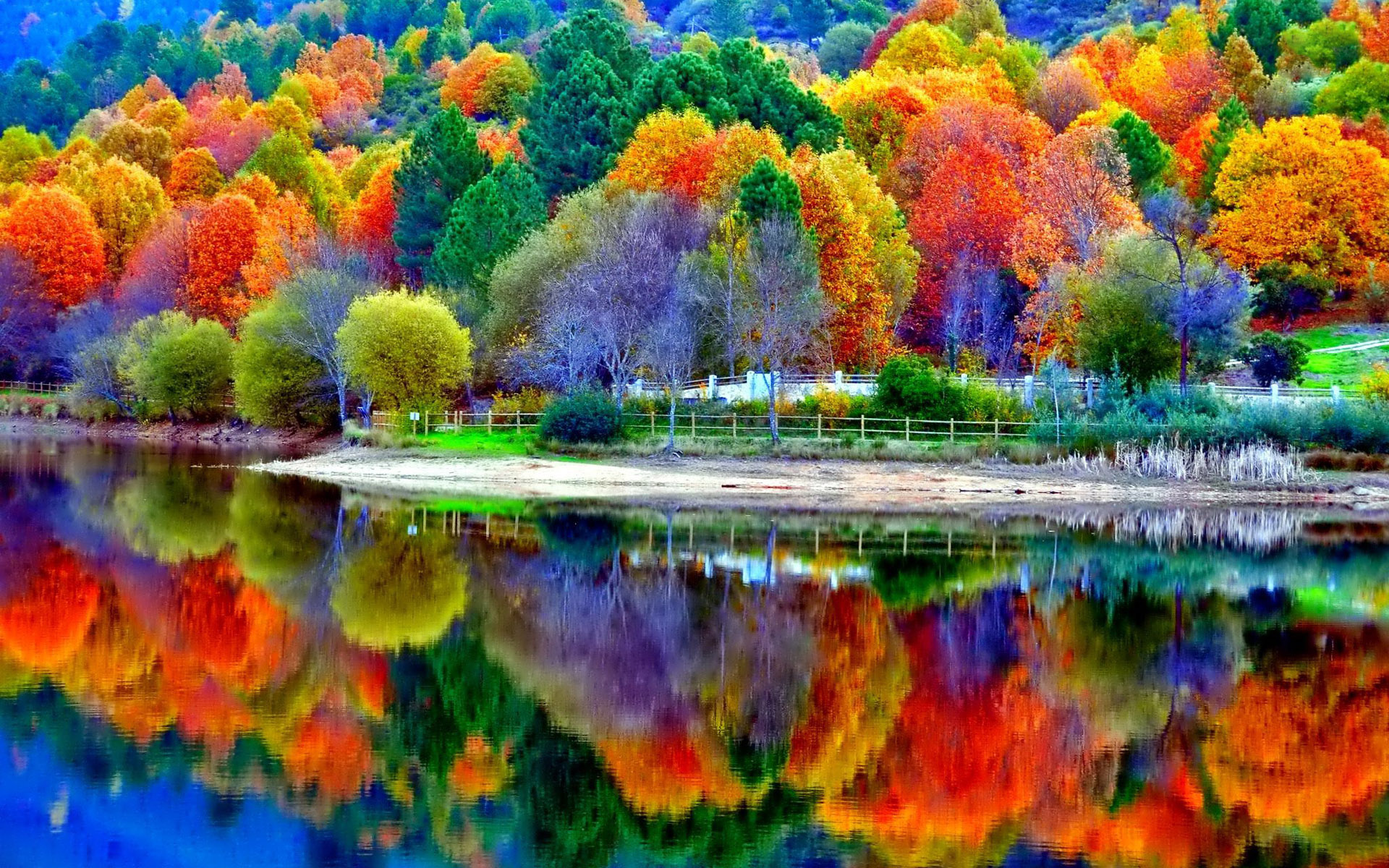 Colorful Scenery Wallpapers