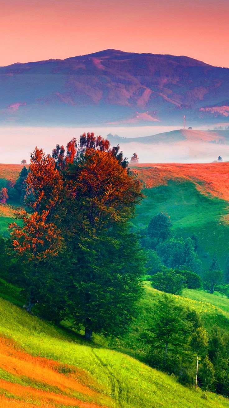 Colorful Scenery Wallpapers