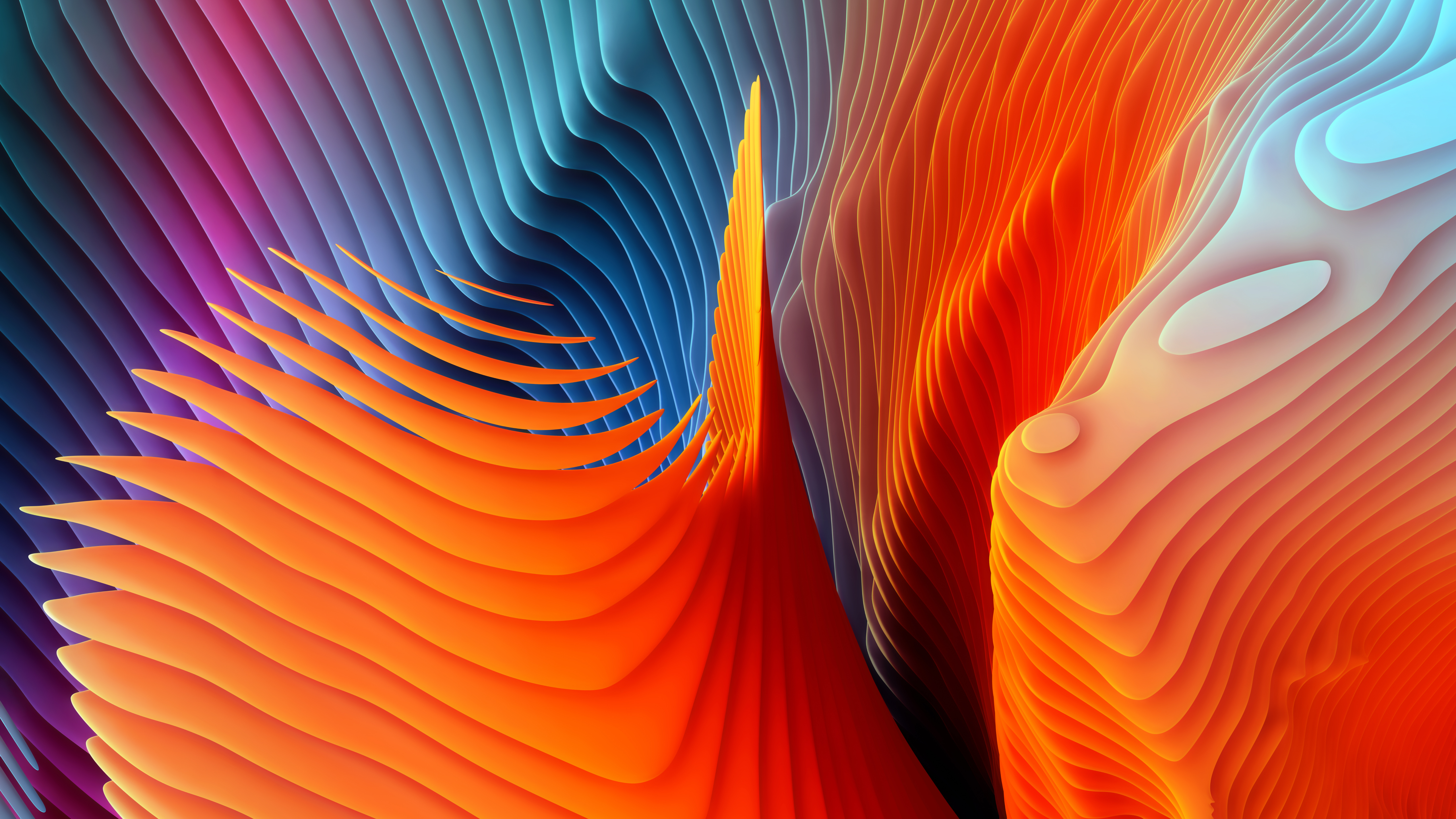 Colorful Shapes Wallpapers