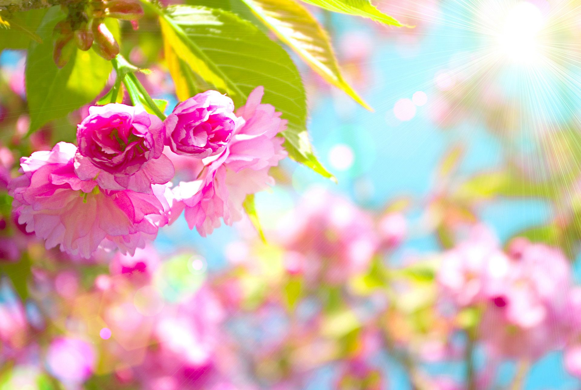 Colorful Spring Computer Wallpapers