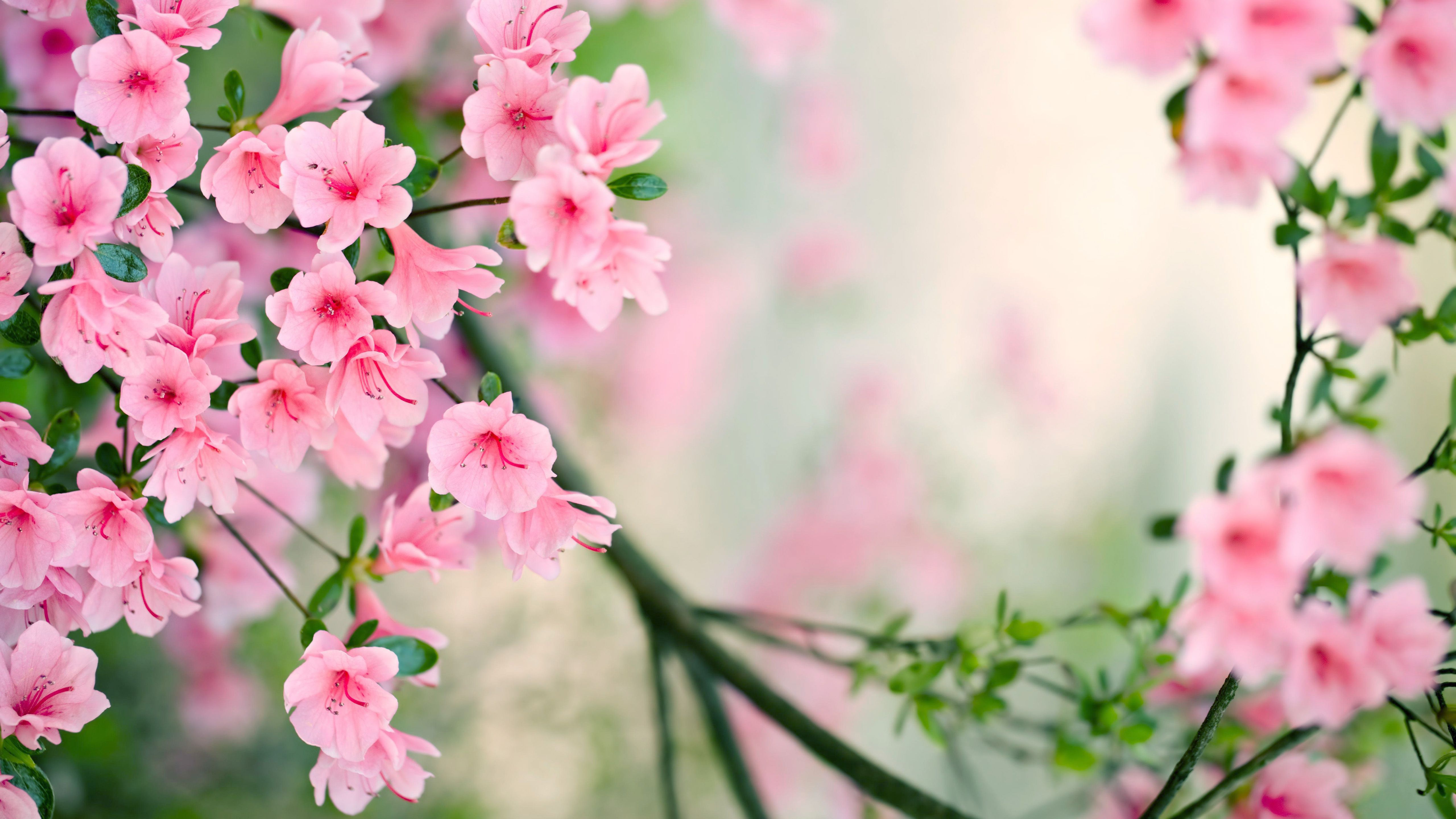 Colorful Spring Computer Wallpapers