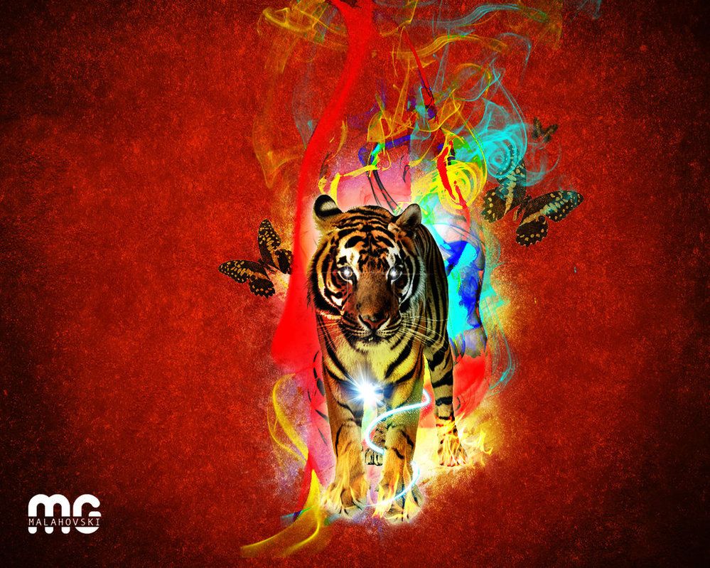 Colorful Tiger Wallpapers