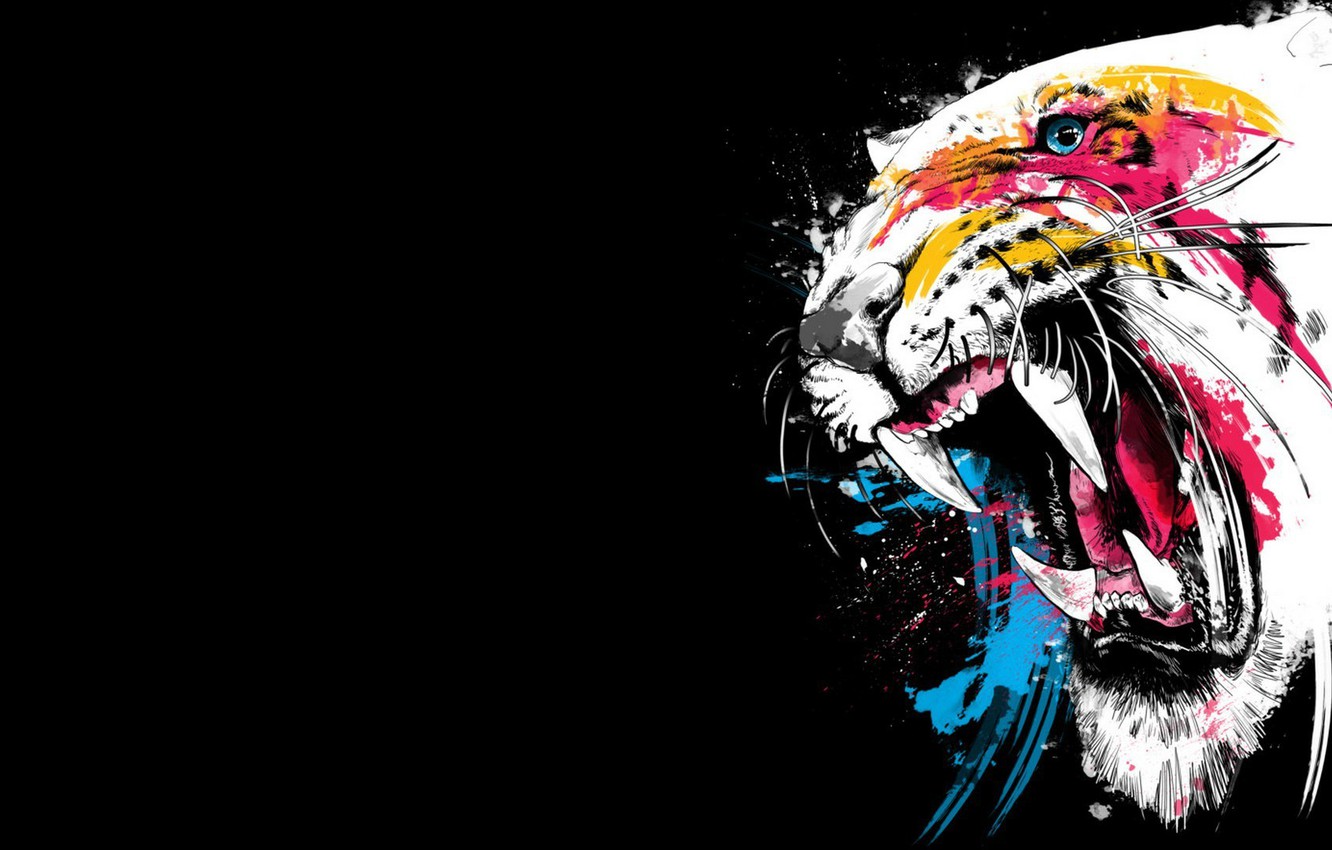 Colorful Tiger Wallpapers