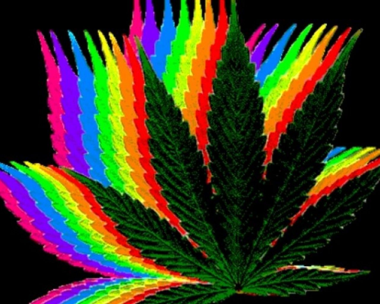 Colorful Weed Wallpapers