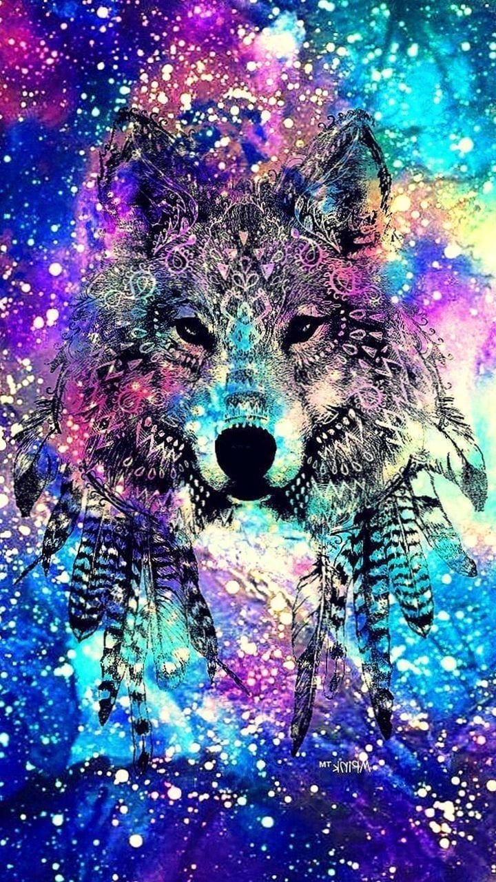 Colorful Wolf Wallpapers