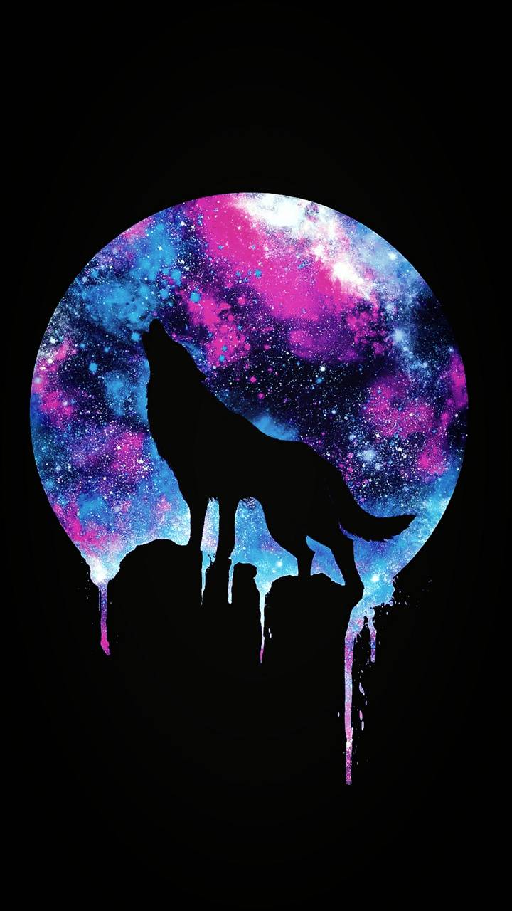 Colorful Wolf Wallpapers