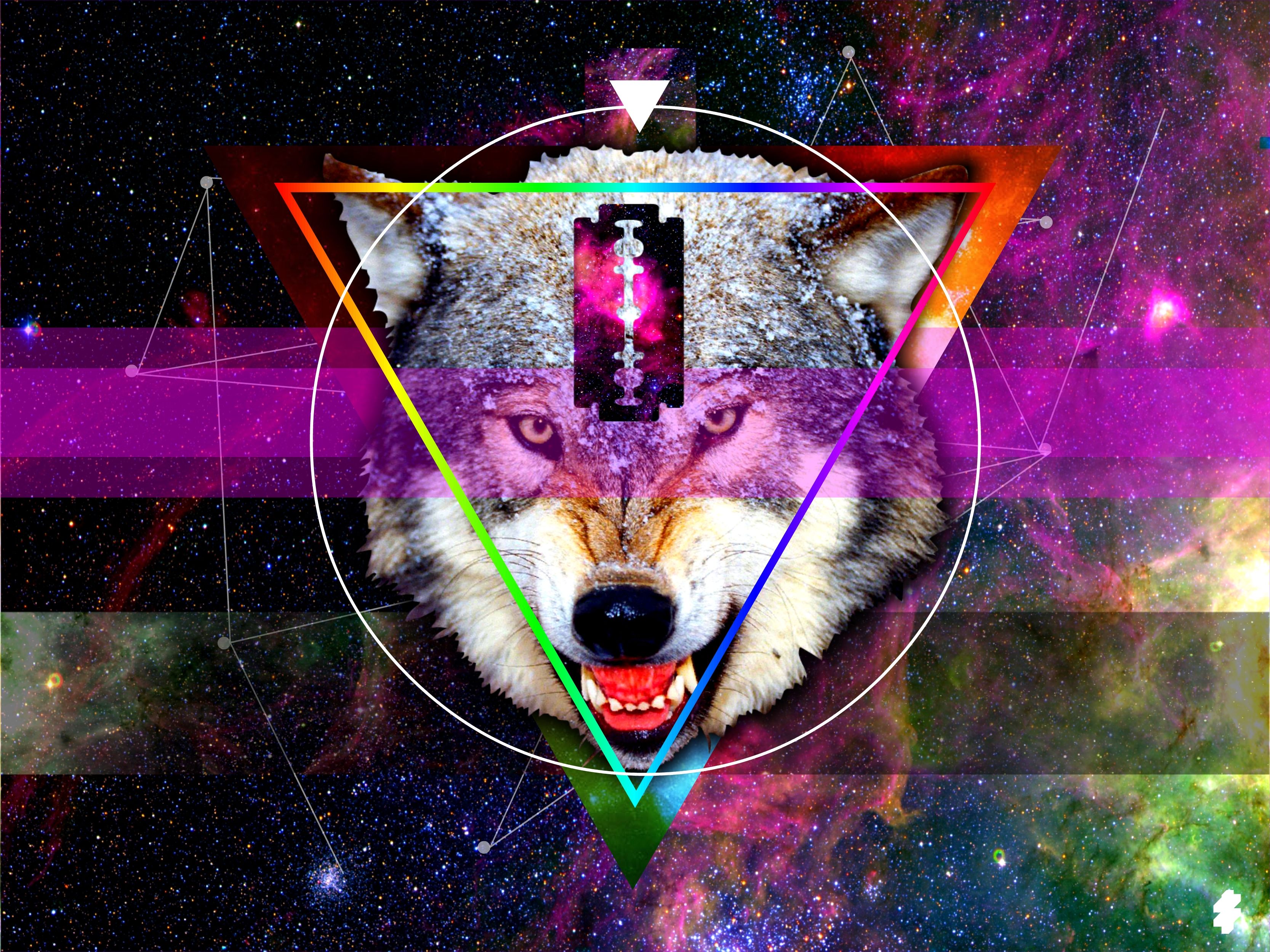 Colorful Wolf Wallpapers