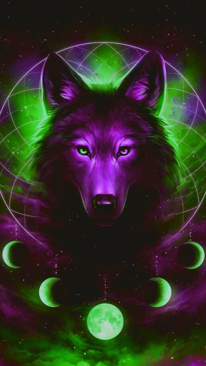 Colorful Wolf Wallpapers