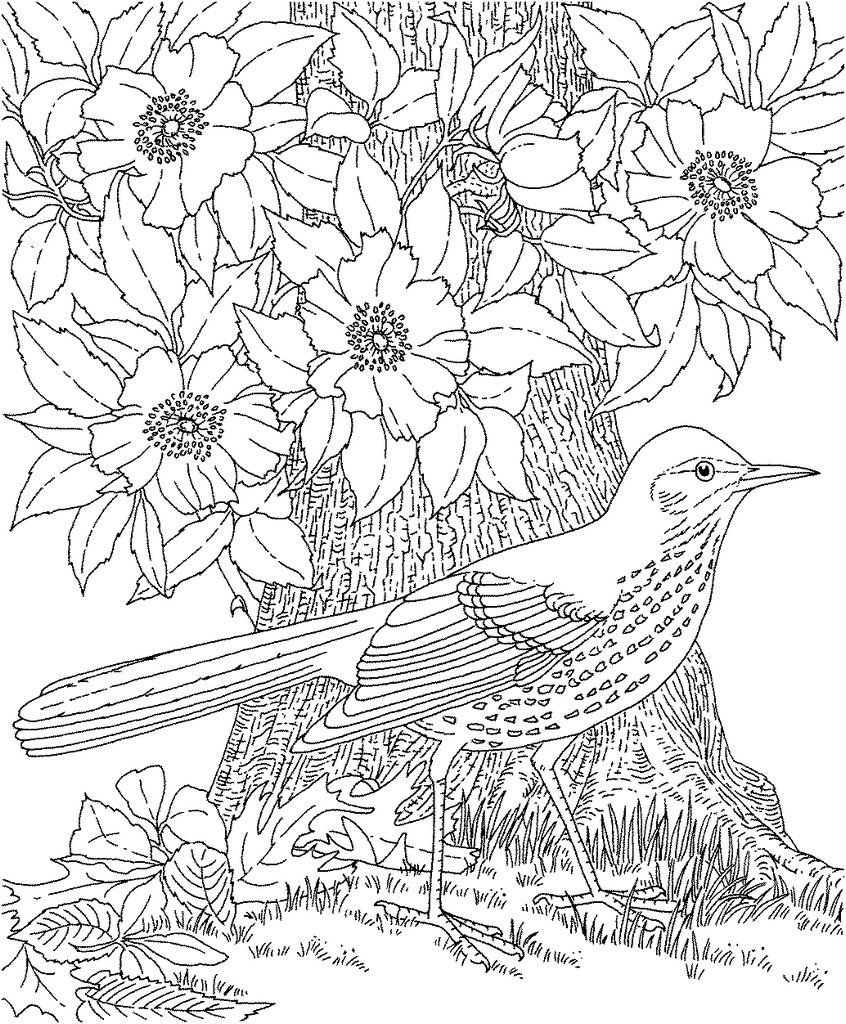 Coloring Pages Wallpapers