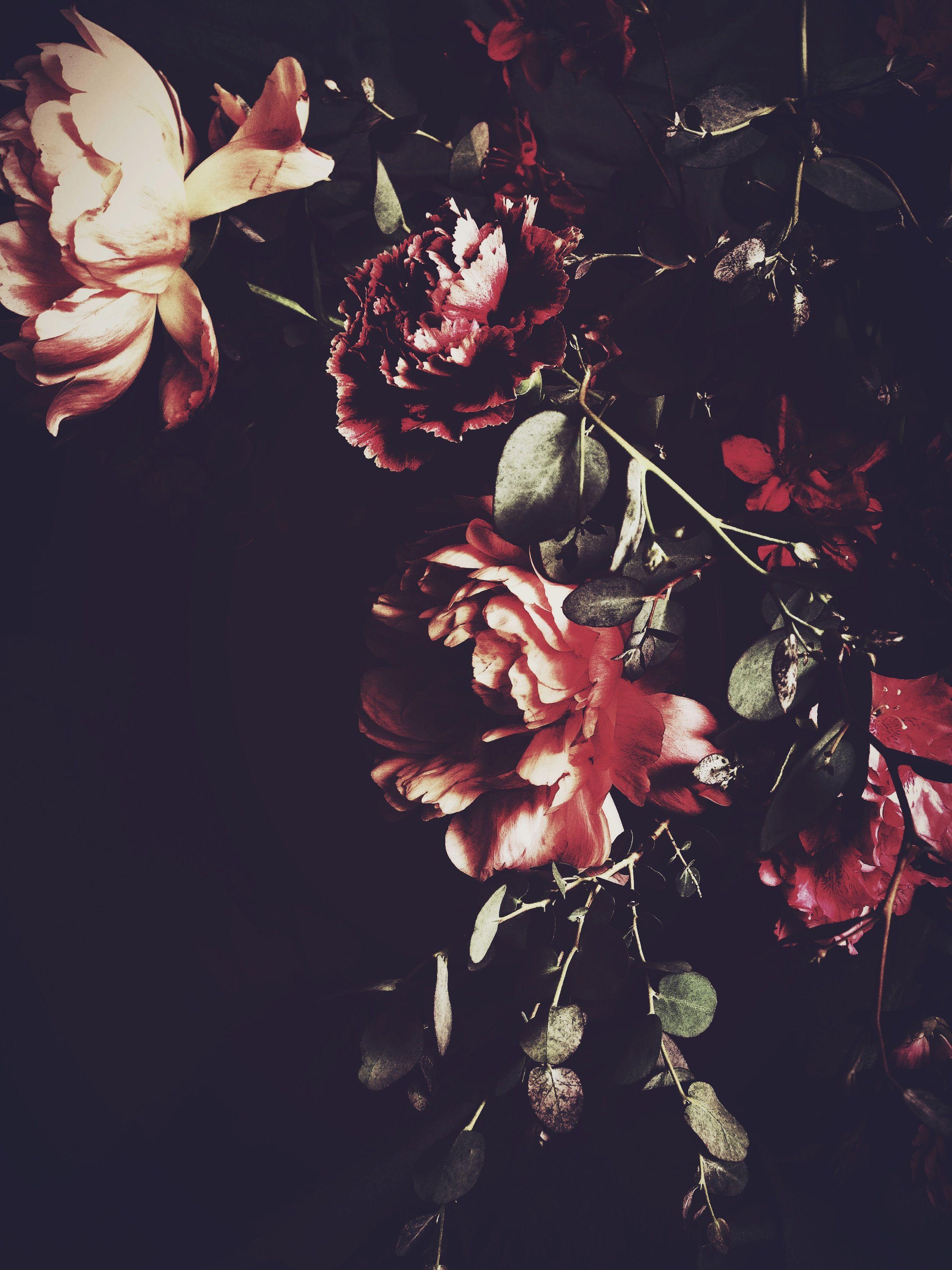 Dark Aesthetic Floral Wallpapers