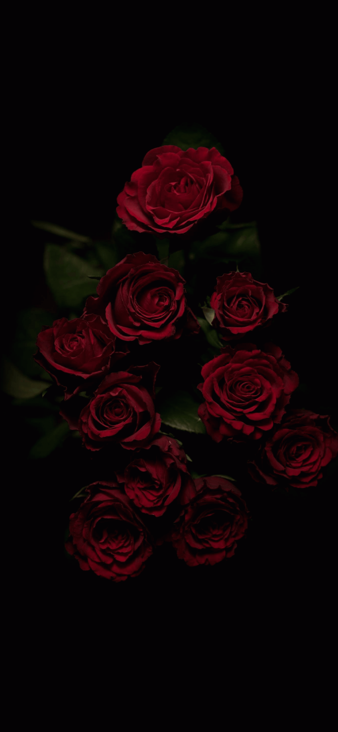 Dark Aesthetic Floral Wallpapers