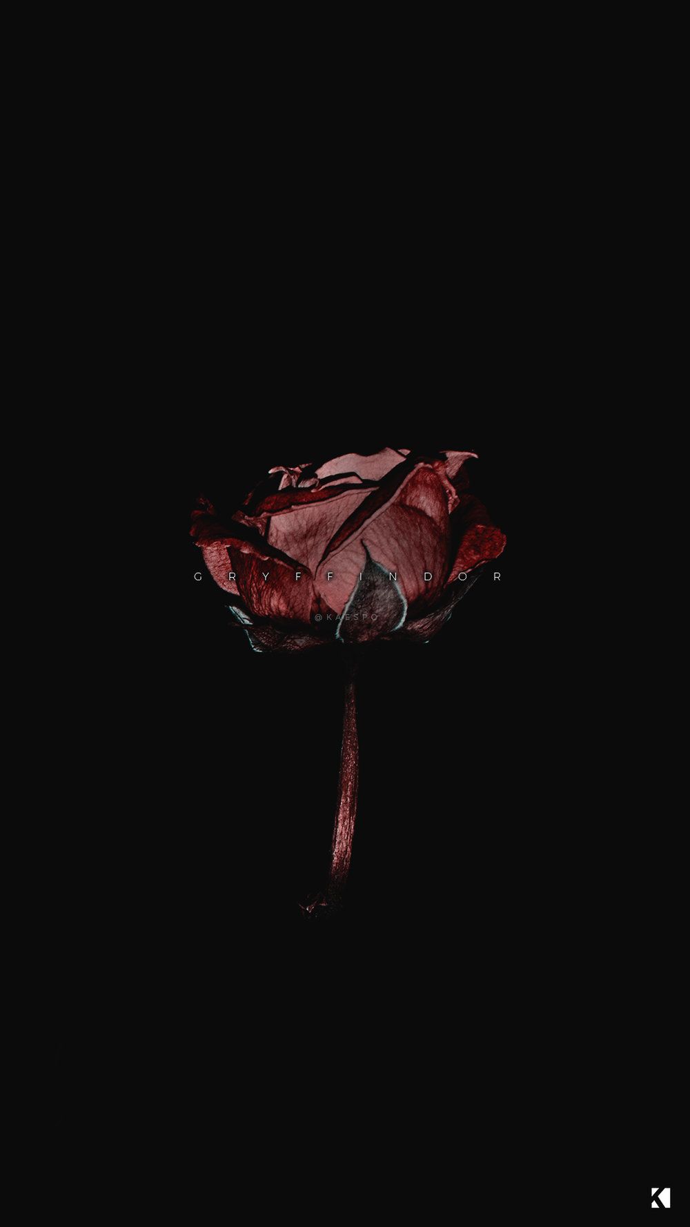 Dark Aesthetic Floral Wallpapers