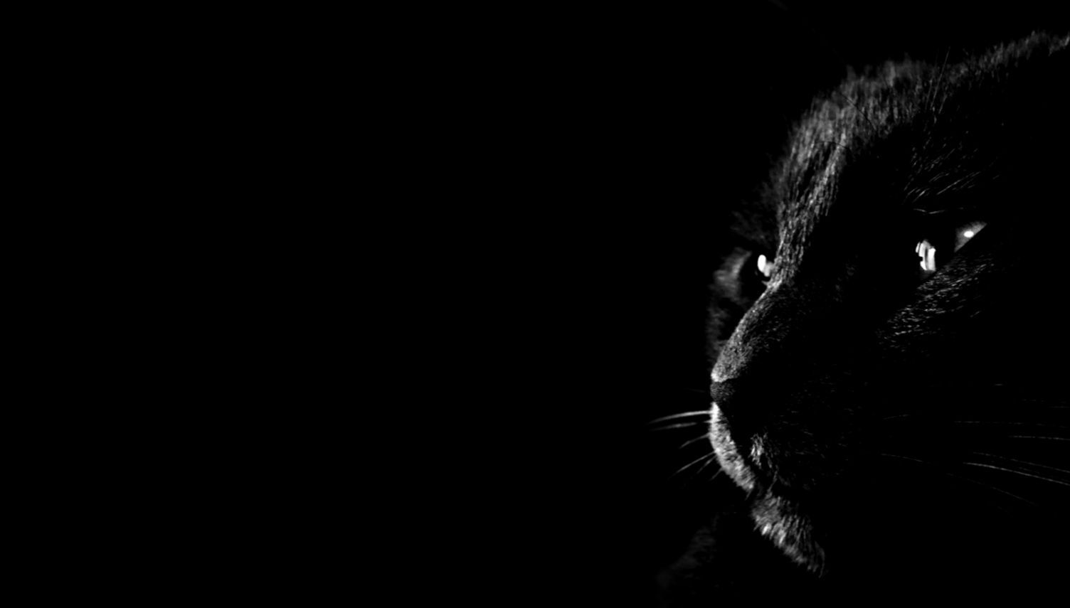 Dark Animals Wallpapers